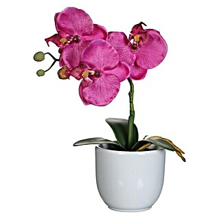 Umjetna biljka Phalaenopsis (Visina: 26 cm, Ljubičasta, Plastika)