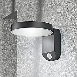 Reality Leuchten LED-Sensor-Außenwandleuchte POSADAS (5 W, L x B x H: 18,3 x 15 x 12 cm, Warmweiß)