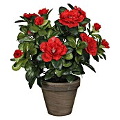 Planta artificial Azalea roja (Altura: 27 cm, Plástico)