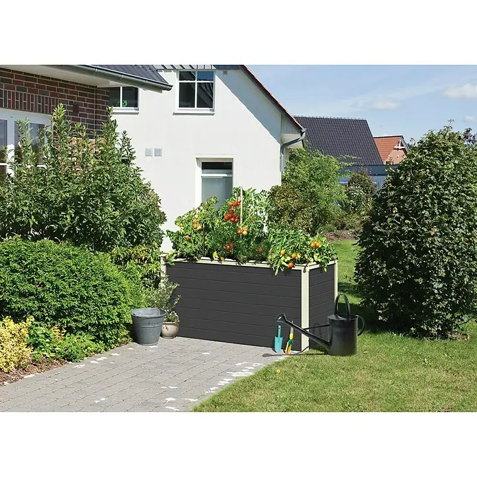 Karibu Hochbeet - 133 x 69 x 82 cm, Holz, Grau - Ein erhöhter, grauer Pflanzkasten mit cremefarbenen Akzenten und reifen Tomatenpflanzen, der Gartenwerkzeuge und eine Gießkanne stilvoll ergänzt.