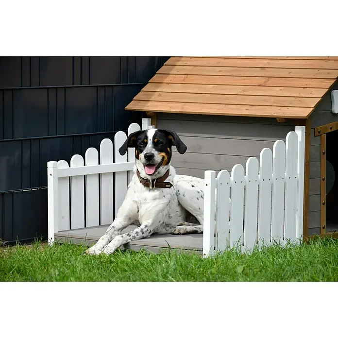 Dobar Hundehütte - 146,3 x 90 x 96 cm, Braun/Grau, Hemlocktanne - Ein Hund entspannt sich in einem stilvollen Outdoor-Hundehaus mit weißem Lattenzaun und grauem Dach.