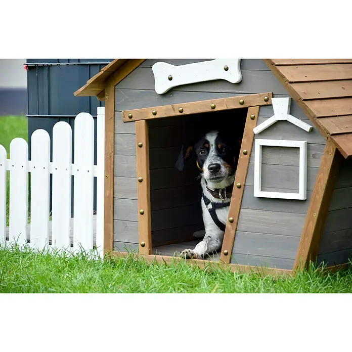 Dobar Hundehütte - 146,3 x 90 x 96 cm, Braun/Grau, Hemlocktanne - Hund in einem grauen Holzhaus mit Knochen- und Kleiderbügeldesign, umgeben von einem grünen Rasen und einem weißen Lattenzaun.