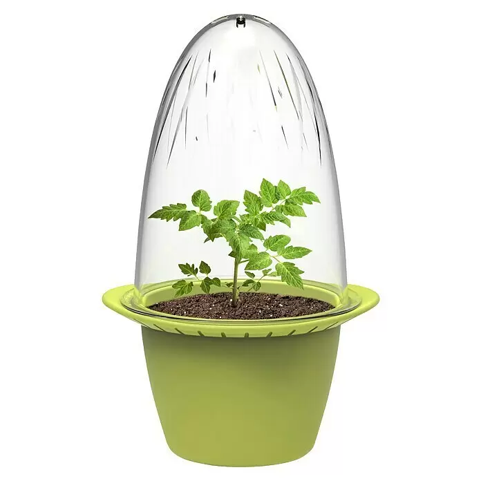 Romberg Pflanztopf Mini - Ø x H: 14,5 x 9 cm, Kunststoff, Sommergrün - Grüner Pflanzentopf mit klarer Kuppel, enthält eine kleine Pflanze. Ideal für die Anzucht.