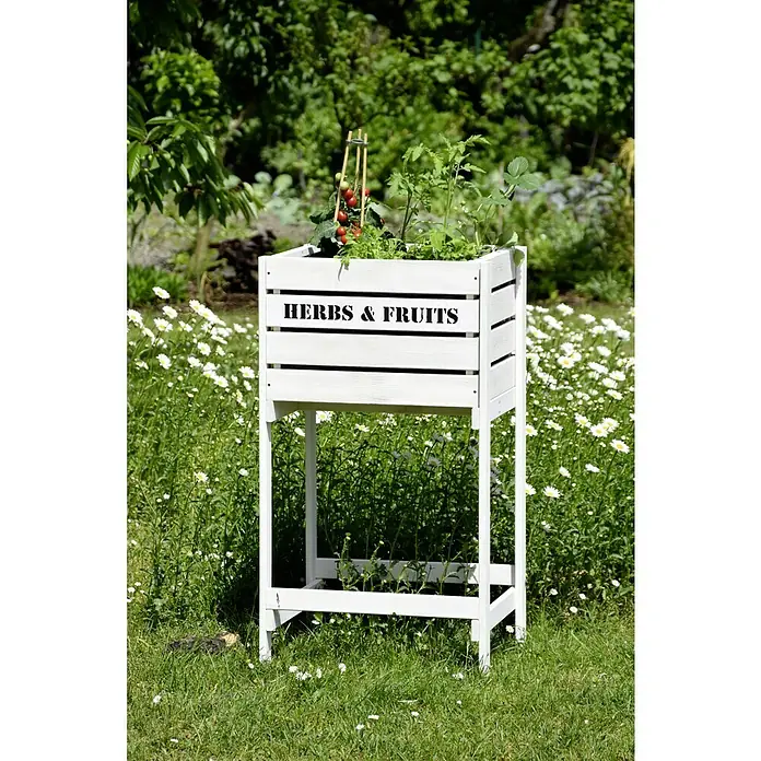 Dobar Hochbeet - 49 x 42 x 90 cm, Holz, Weiß - Ein erhöhtes Kräuter- und Fruchtbeet aus weißem Holz mit Tomatenpflanzen und Kräutern steht im Garten.