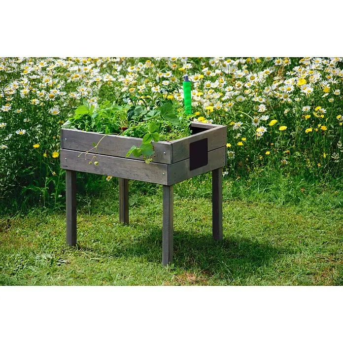 Dobar Hochbeet - 50 x 40 x 45 cm, Holz, Grau - Ein erhöhter Holzkasten-Pflanzer mit grünen Pflanzen auf einem Rasen mit Gänseblümchen im Hintergrund. Ideal für den Garten.