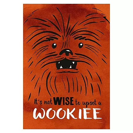 Komar Star Wars Leinwandbild