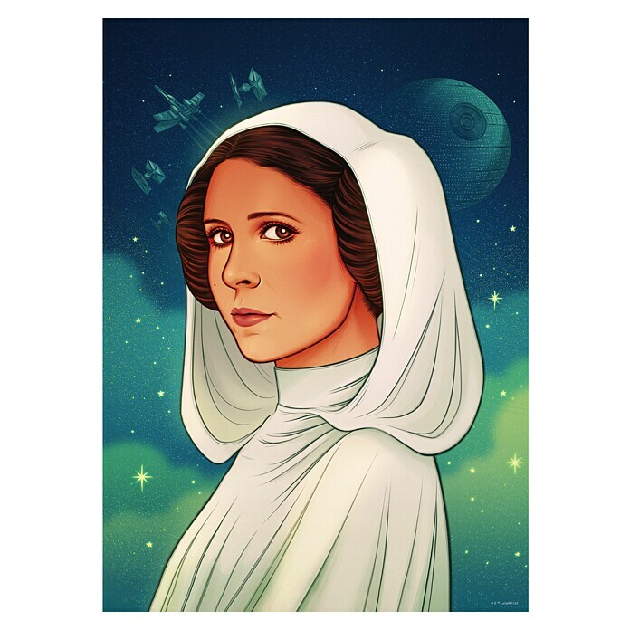 Komar Star Wars Poster (Star Wars - Princess of Alderaan, B x H: 50 x ...