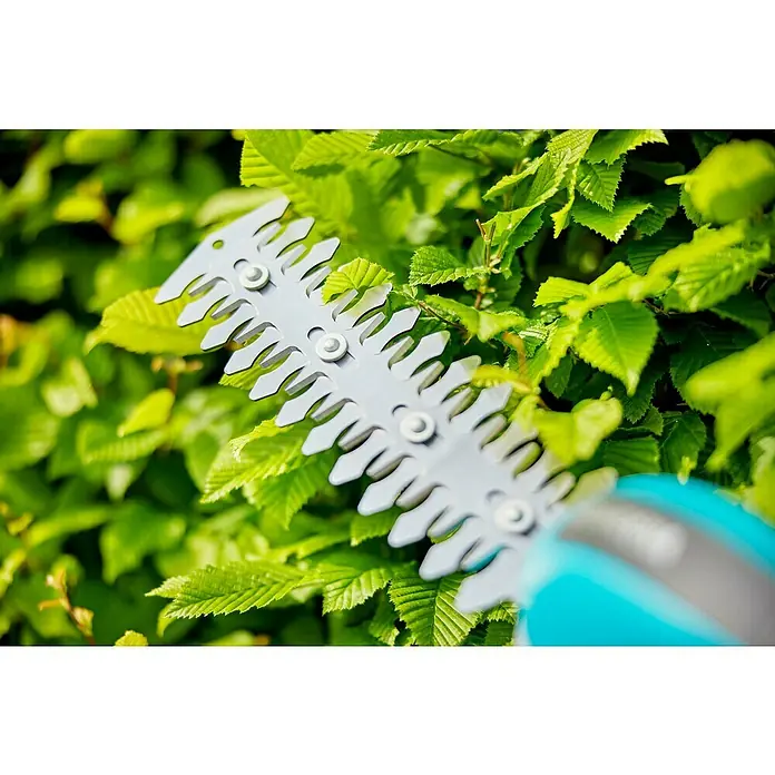 Gardena Power for All 18V Akku-Gras- & Strauchschere 20/18V P4A - 18 V, Li-Ionen, Ohne Akku - Nahaufnahme einer Heckenschere beim Schneiden von grünen Blättern. Die hellgraue Klinge sticht deutlich hervor und zeigt die Präzision des Werkzeugs.