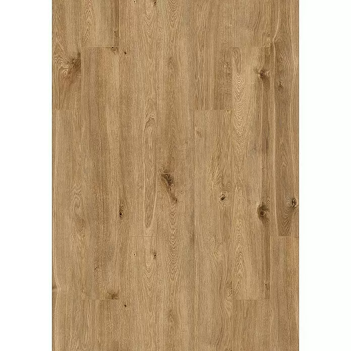 Krono Original Laminat Organic Classic - Solar Oak, Landhausdiele, 1.288 x 195 x 8 mm - Heller Holzfußboden mit natürlicher Maserung und Ästen.