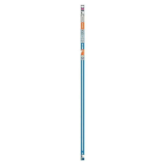 Osram LED-Röhre Biolux - Länge: 121,3 cm, Tageslichtweiß, G13 - Osram LED-Filament-Lampe mit 1800 Lumen für eine helle und energieeffiziente Beleuchtung. Klassisches Design mit klarem Glas für vielseitige Anwendungen.