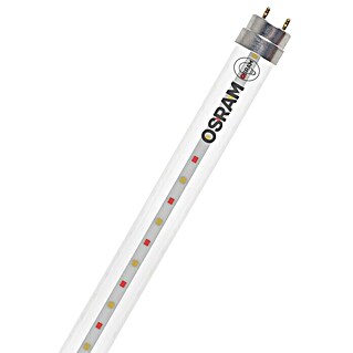 Osram LED-Röhre T8 Fluora (10 W, 90 cm, Warmweiß, 720 lm)