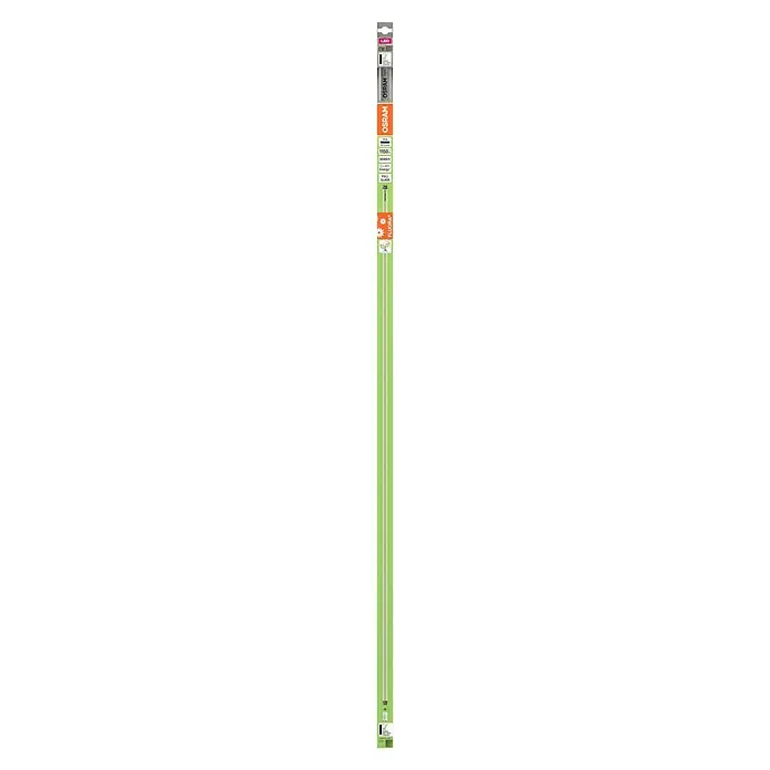 Osram LED-Röhre Fluora - Länge: 120 cm, 1.150 lm, G13 - OSRAM LED Lampe mit hoher Lichtausbeute, ideal für Innenräume, langlebig und energieeffizient.