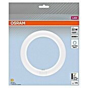 Osram LED-Röhre LED TUBE T9 EM (Länge: 21,2 cm, Kaltweiß, 11 W, 1 320 lm, G10q) | BAUHAUS