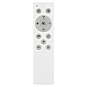 Globo LED stropna svjetiljka Jacky  (40 W, Topla bijela, Crna, smeđa, D x Š x V: 855 x 550 x 100 mm) | BAUHAUS