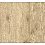 AS Creation Best Of Wood&Stone 2 Vliestapete (Braun, Holzoptik, 10,05 x 0,53 m)