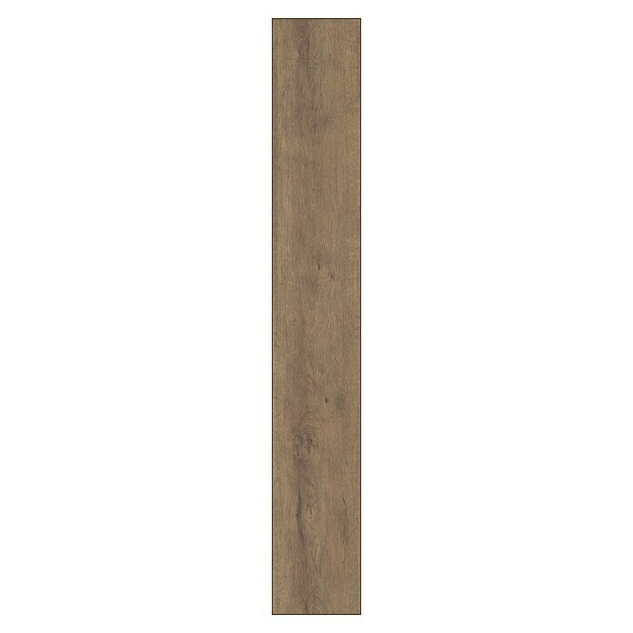 Krono Original Laminat Super Natural Fawn Apollo Oak (1.288 x 195 x 8 mm, Landhausdiele, Fawn Apollo Oak) | BAUHAUS