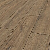 Krono Original Laminat Super Natural Fawn Apollo Oak (1.288 x 195 x 8 mm, Landhausdiele, Fawn Apollo Oak) | BAUHAUS