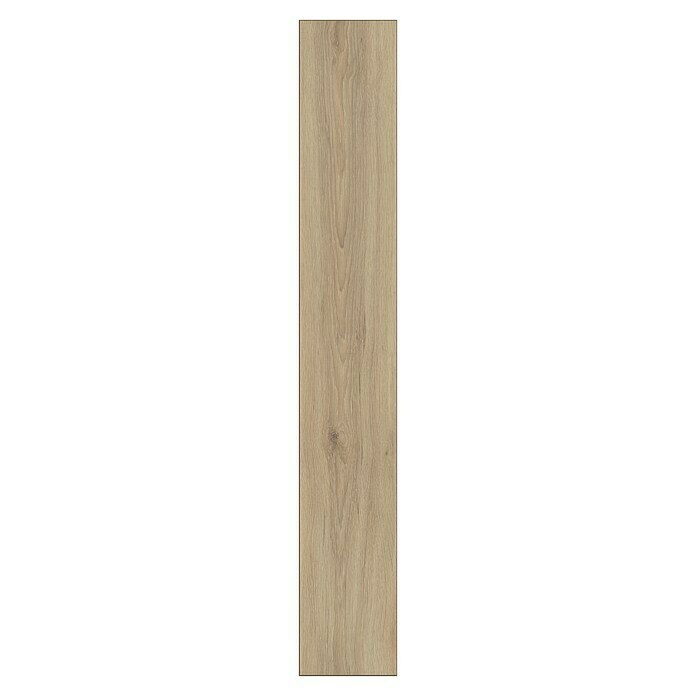 Krono Original Laminat Super Natural Wheat Pistachio Oak (1.288 x 195 x 8 mm, Landhausdiele, Wheat Pistachio Oak) | BAUHAUS