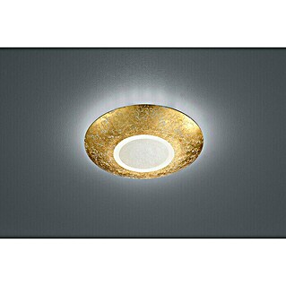 Reality Leuchten LED-Deckenleuchte rund Chiros (15,5 W, Ø x H: 320 mm x 6 cm, Gold, Klar, Warmweiß)
