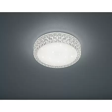 Reality Leuchten  LED-Deckenleuchte rund Pegasus