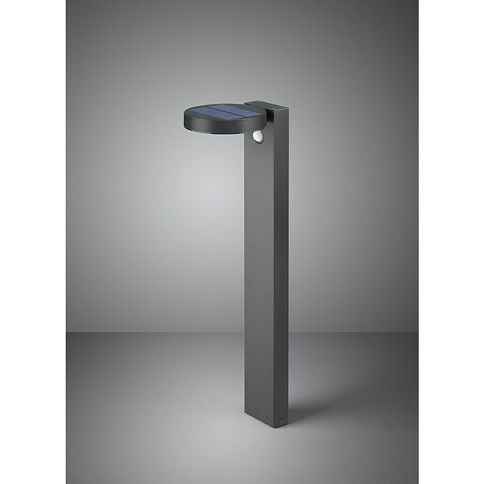 Reality Leuchten LED-Sensor-Außenwegeleuchte POSADAS (IP44) | BAUHAUS