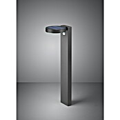 Reality Leuchten LED-Sensor-Außenwegeleuchte POSADAS (IP44) | BAUHAUS