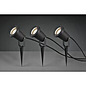 Trio Lighting Led-straler Ubangi (l x b x h: 10,5 x 9,2 x 11,5 cm, GU10, IP65, 3 st.) | BAUHAUS
