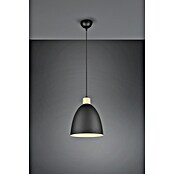 Reality Leuchten Lámpara colgante Jagger (40 W, Ø x Al: 25 x 150 cm, Negro, E27) | BAUHAUS
