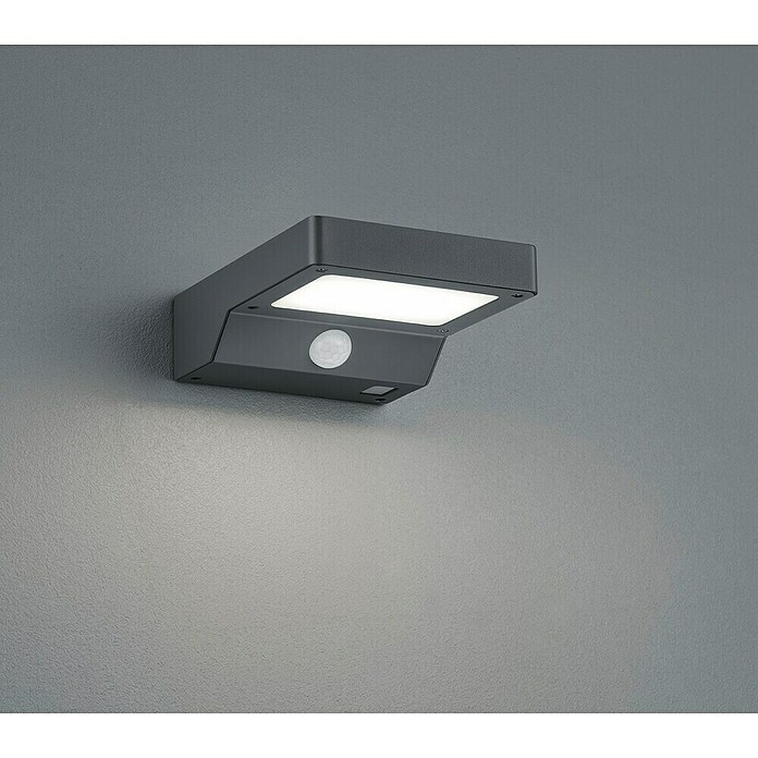 Reality Leuchten LED-Solar-Außenwandleuchte Fomosa (Solarzelle, Kunststoff, Warmweiß) | BAUHAUS