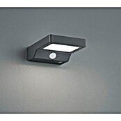 Reality Leuchten LED-Solar-Außenwandleuchte Fomosa (Solarzelle, Kunststoff, Warmweiß) | BAUHAUS