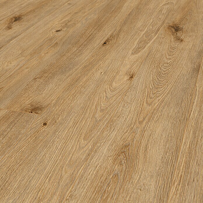 Krono Original Laminat Organic Classic Solar Oak (1.288 x 195 x 8 mm, Landhausdiele, Solar Oak) | BAUHAUS