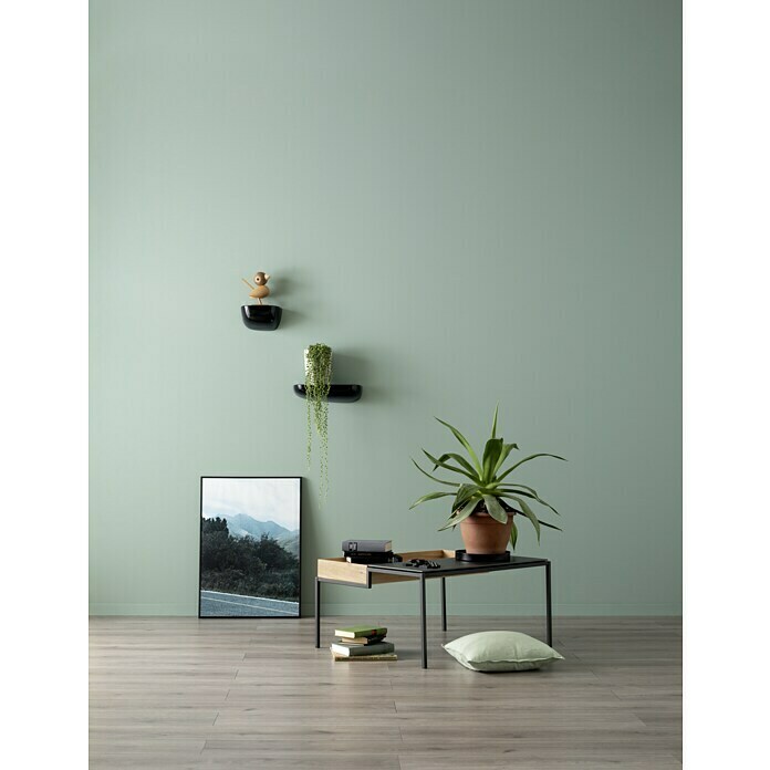 Schöner Wohnen Wandfarbe Designfarbe (Erhabenes Agavengrün, 2,5 l, Feinmatt)