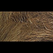 Marburg Struktura Vliestapete Dünengras (Beige/Braun, Floral, 10,05 x 0,53 m) | BAUHAUS