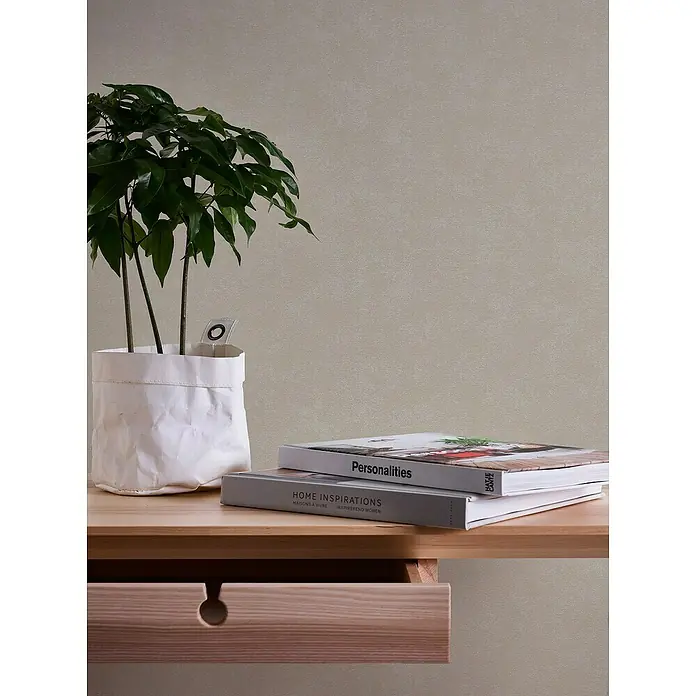 A.S. Création Casual Living Vliestapete - Grau/Beige, Uni, 10,05 x 0,53 m - Zimmerpflanze im Papierbeutel mit Büchern auf einem Holztisch, die eine ruhige und natürliche Atmosphäre schaffen.