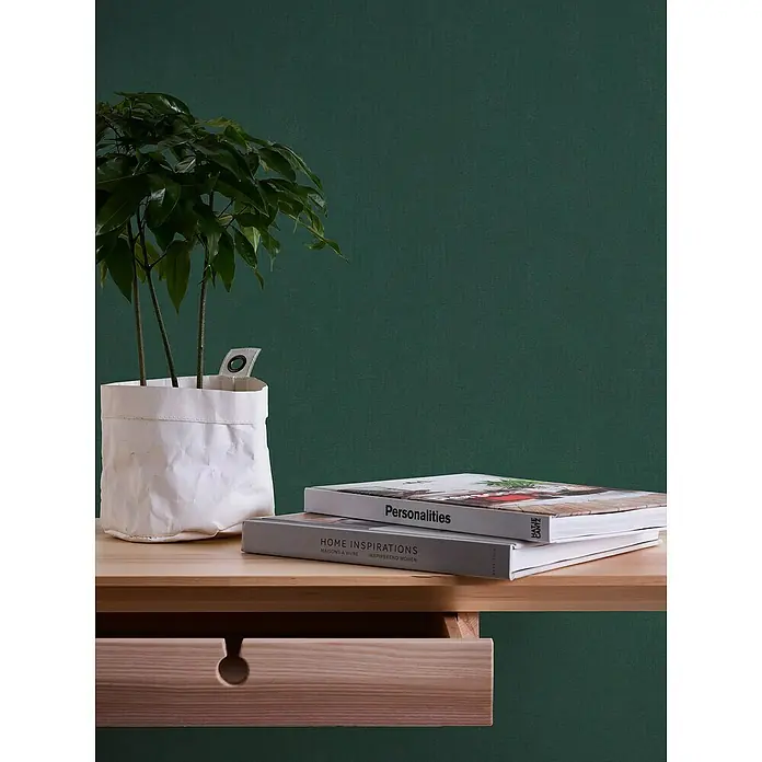 A.S. Création Casual Living Vliestapete - Waldgrün, Uni, 10,05 x 0,53 m - Stilvolles Arrangement mit einer Zimmerpflanze im weißen Übertopf und zwei Büchern auf einem hellen Holztisch vor dunkelgrünem Hintergrund.
