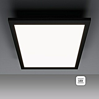 Tween Light LED-Panel Schwarz (13 W, L x B x H: 29,5 x 29,5 x 5 cm, Schwarz, Neutralweiß)