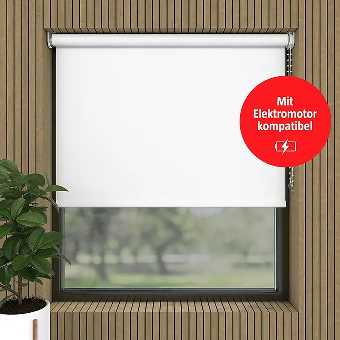 Expo Ambiente Verdunkelungsrollo - B x H: 140 x 190 cm, Weiß, Uni - Eine weiße, elektrische Jalousie vor einem Fenster, geeignet für Elektromotoren, sorgt für Privatsphäre und Lichtschutz.