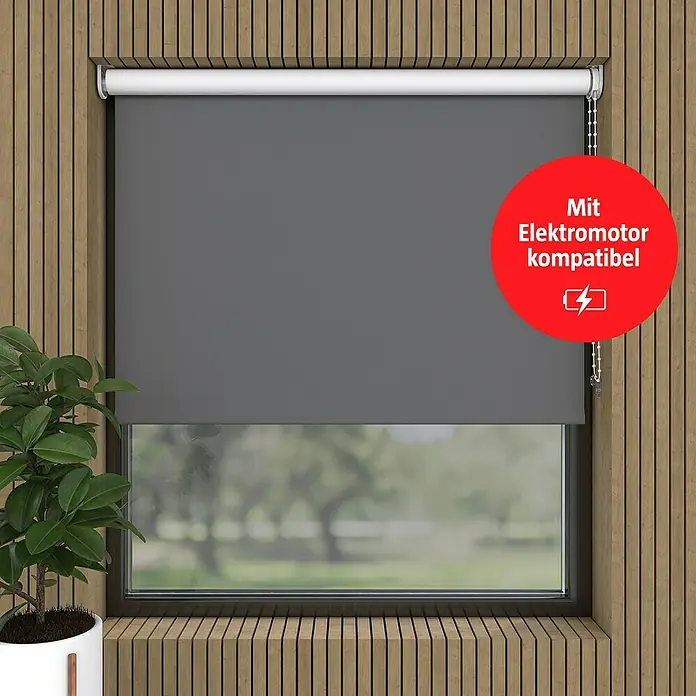 Expo Ambiente Verdunkelungsrollo - B x H: 80 x 190 cm, Grau, Uni - Graue Rollo vor einem Fenster, passend für Elektromotoren, vor einer Holzwand mit einer Topfpflanze im Raum.