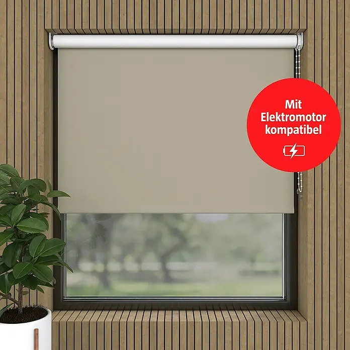 Expo Ambiente VerdunkelungsrolloB x H: 80 x 275 cm, Zement, Uni