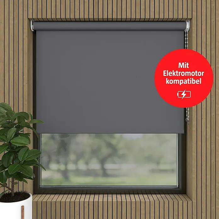 Expo Ambiente Rollo - B x H: 100 x 190 cm, Grau, Uni, Tageslichtdurchlässig - Ein graues Rollo ist am Fenster montiert, das mit einem Elektromotor kompatibel ist, was durch einen roten Aufkleber angezeigt wird.