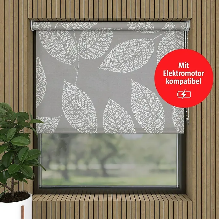 Rollo Blatt - B x H: 120 x 190 cm, Beige, Blumen & Pflanzen - Bild eines grauen Rollos mit Blättermuster. Es ist mit einem Elektromotor kompatibel und hängt vor einem Fenster.