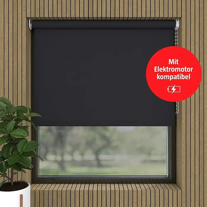 Rollo - B x H: 180 x 190 cm, Schwarz, Tageslichtdurchlässig - Schwarze, verdunkelnde Fensterrollos für mehr Privatsphäre und Komfort im Raum.