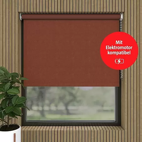 Verdunkelungsrollo Velvet