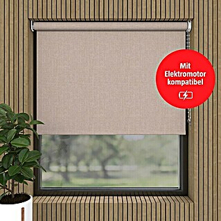 Verdunkelungsrollo Structure (B x H: 80 x 190 cm, Beige)