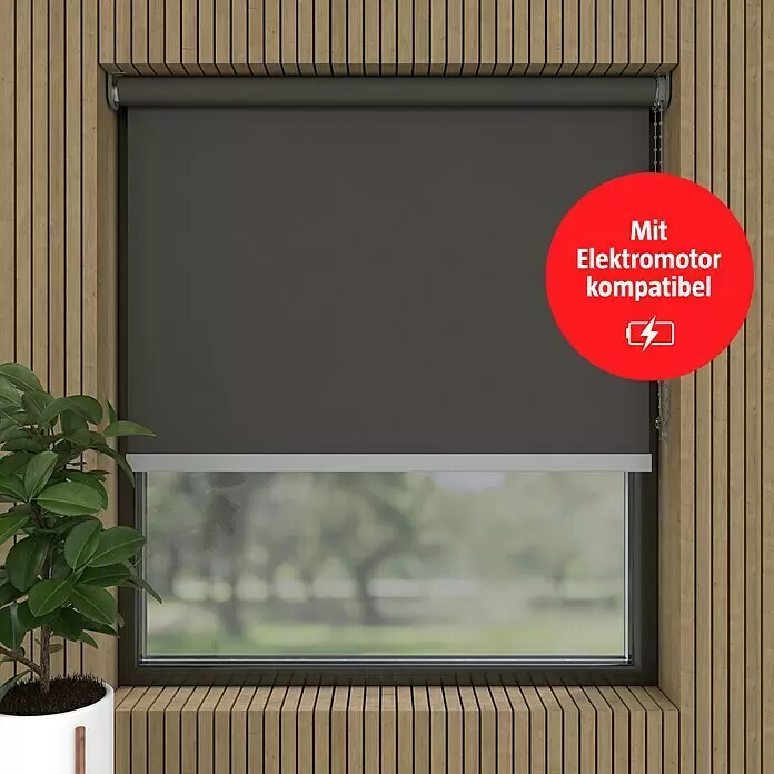 Expo Ambiente Verdunkelungsrollo Mila - B x H: 90 x 275 cm, Grau - Dunkelgraues Rollo in einem Fensterrahmen, mit Elektromotor kompatibel.