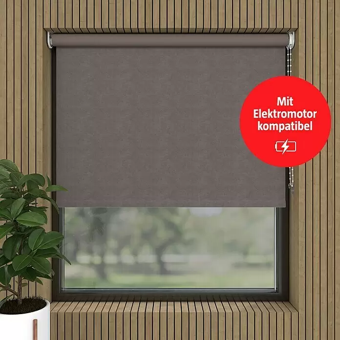 Verdunkelungsrollo Velvet - B x H: 80 x 190 cm, Taupe - Dunkelgraues Rollo in einem Fenster montiert. Kompatibel mit Elektromotor.