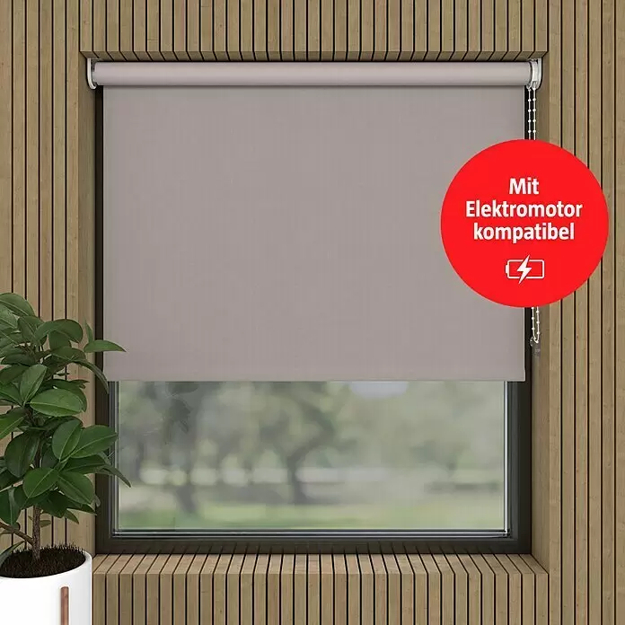 Verdunkelungsrollo Velvet - B x H: 60 x 190 cm, Kiesel - Beiges Rollo am Fenster, kompatibel mit Elektromotor für automatisierte Steuerung.