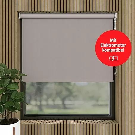 Verdunkelungsrollo Velvet