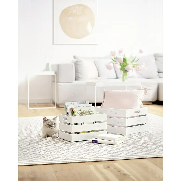 Zeller Present Holzkiste - L x B x H: 39 x 29 x 21 cm, Weiß - Ein stilvolles Interieur mit zwei weißen Holzkisten, einer davon mit Büchern gefüllt, auf einem gemusterten Teppich, ergänzt durch eine süße Katze.
