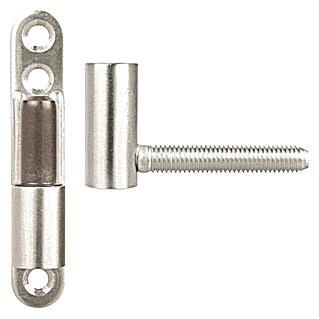 Häfele Türband Renovierband  (Durchmesser Rolle: 15 mm, Stahl, 1 Stk.)